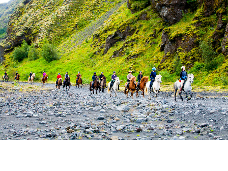 Riding with the Herd in Iceland 